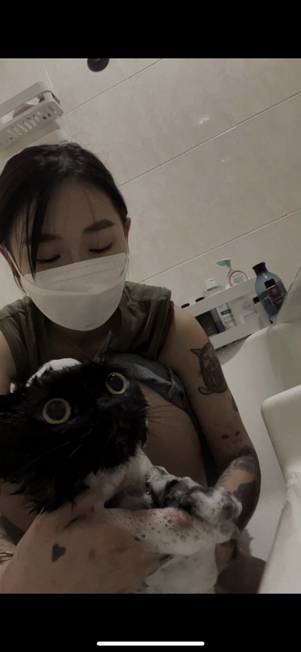 🐈🐈禾禾洗貓 專業美容師 到府賽級洗護 來洗香香吧🛁 - 服務說明 9