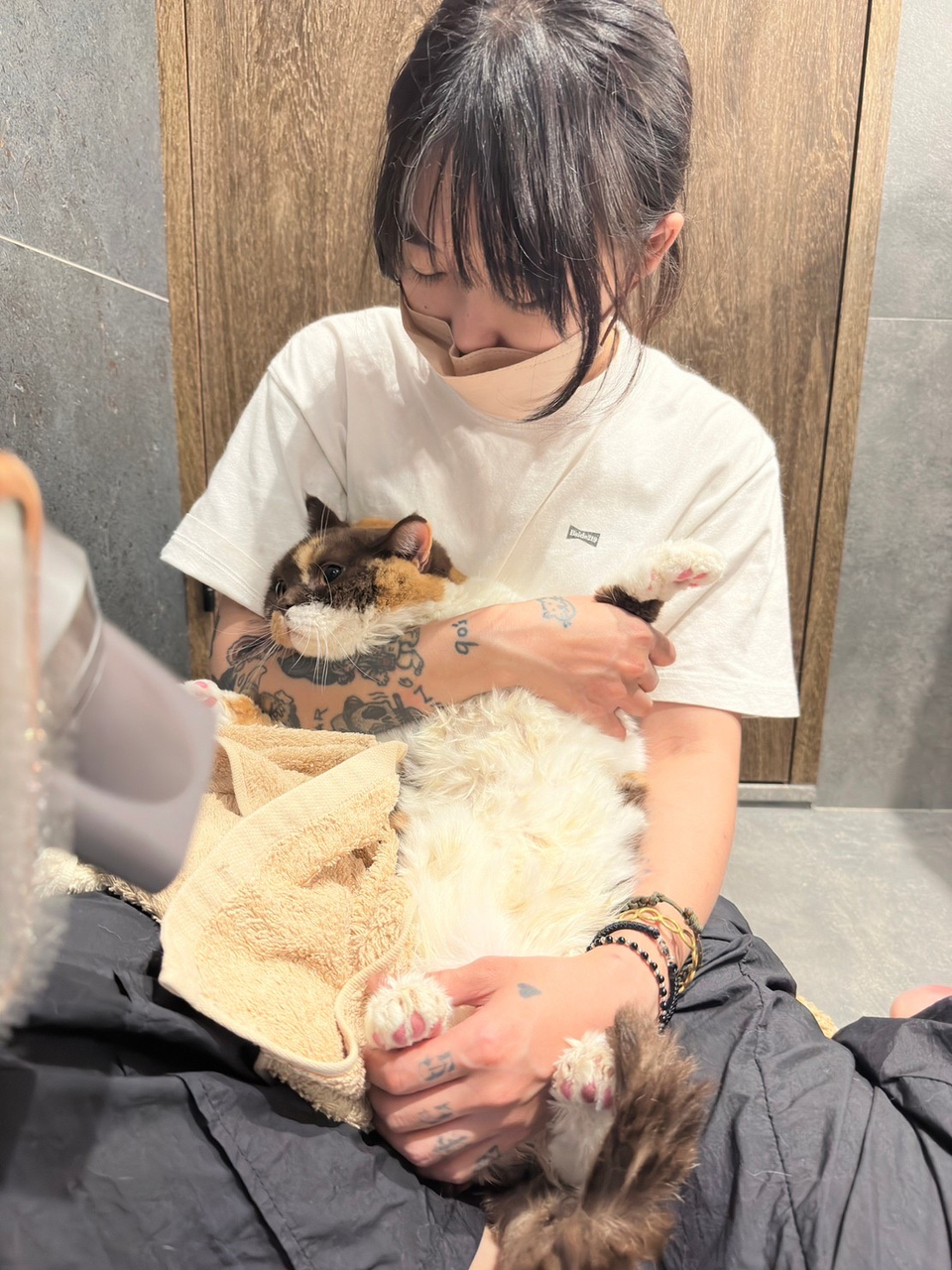 （兇貓區）🐈🐈 專業美容師貓貓洗澡呵護  舒緩情緒🛁 - サービス説明 4