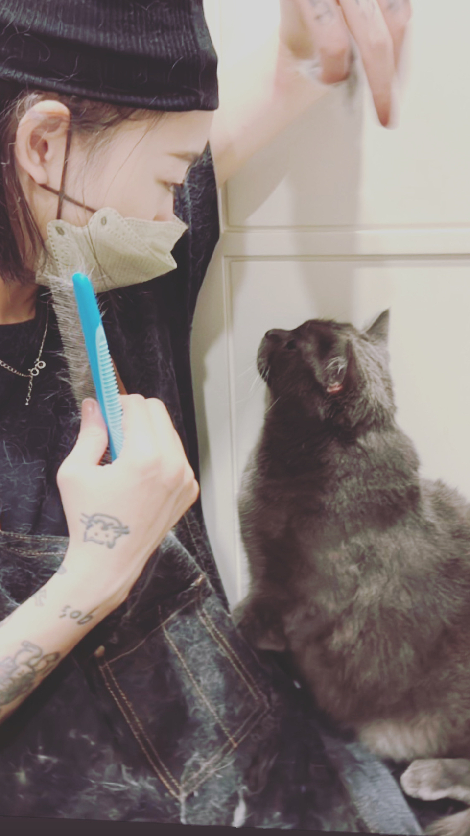 （兇貓區）🐈🐈 專業美容師貓貓洗澡呵護  舒緩情緒🛁 - サービス説明 1