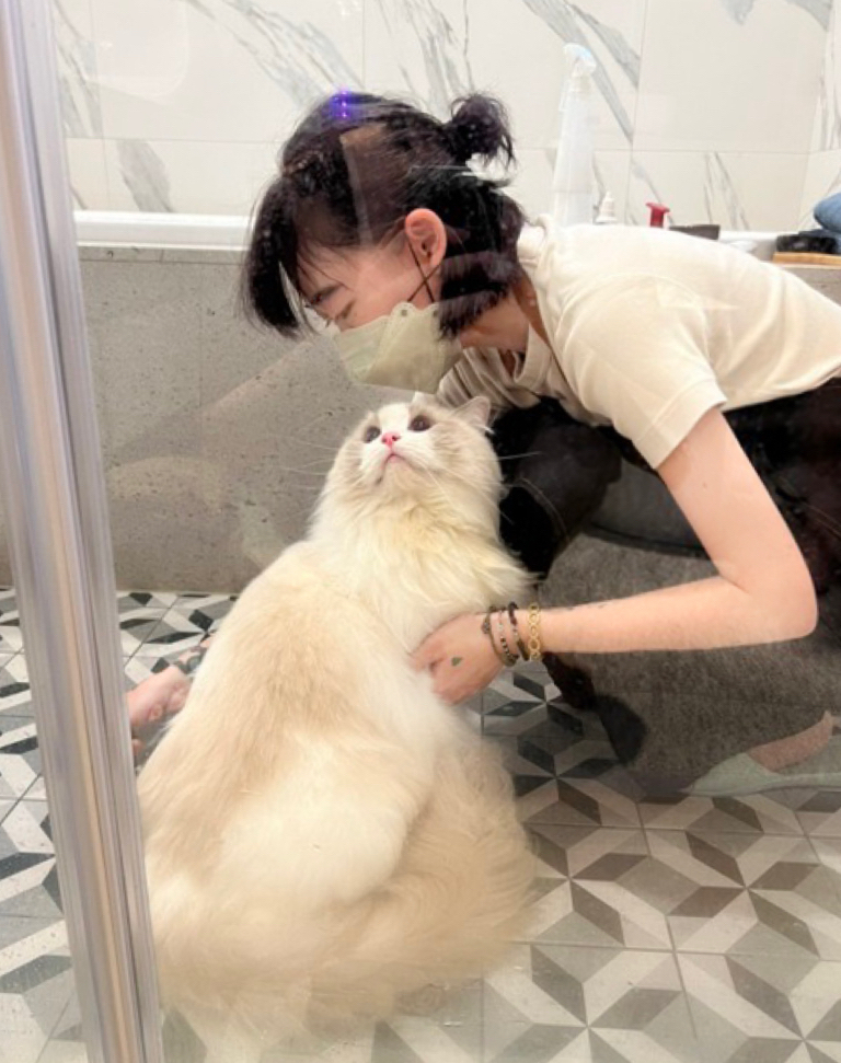 🐈🐈禾禾洗貓 專業美容師 到府賽級洗護 來洗香香吧🛁 - 服務說明 4