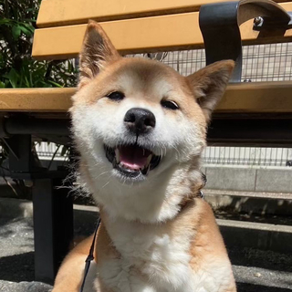 TAKEI