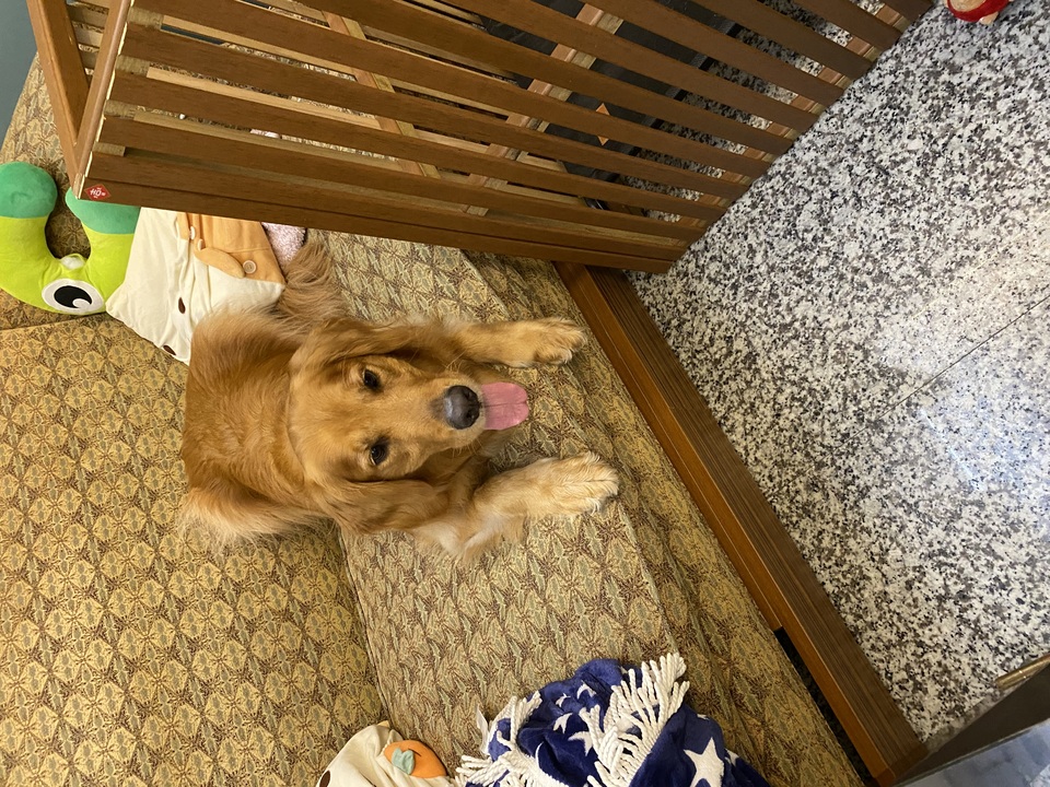 毛毛村～12小時內安親照護服務 - Description 3