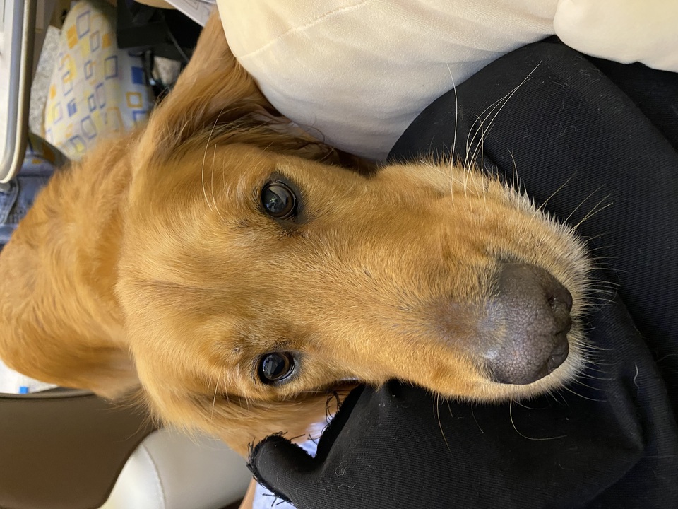 毛毛村～12小時內安親照護服務 - Description 2