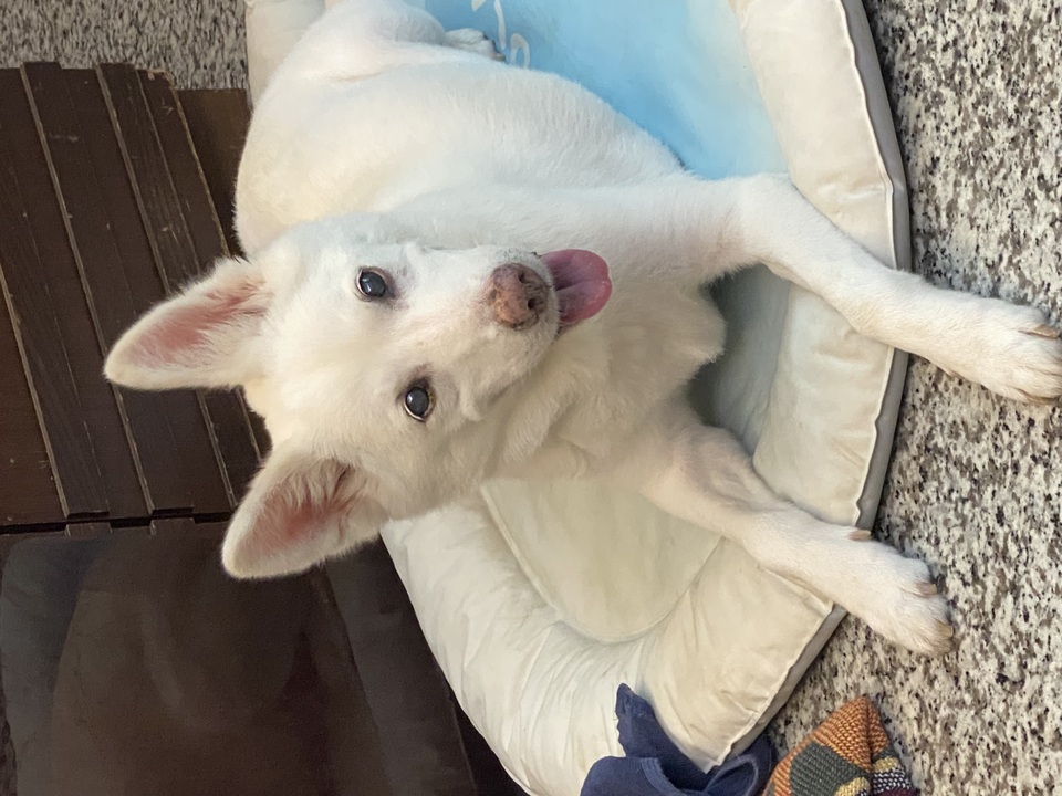 毛毛村～12小時內安親照護服務 - Description 4