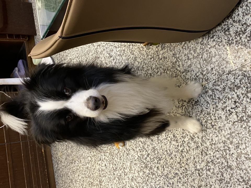 毛毛村～12小時內安親照護服務 - Description 5