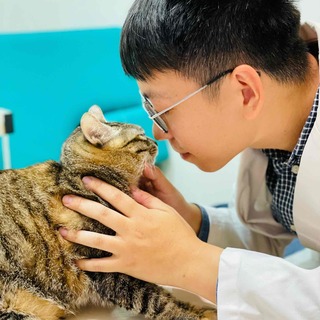 高麗菜叔叔