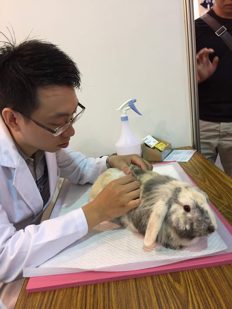 犬貓兔的執業臨床獸醫師 5年經驗 - Description 6