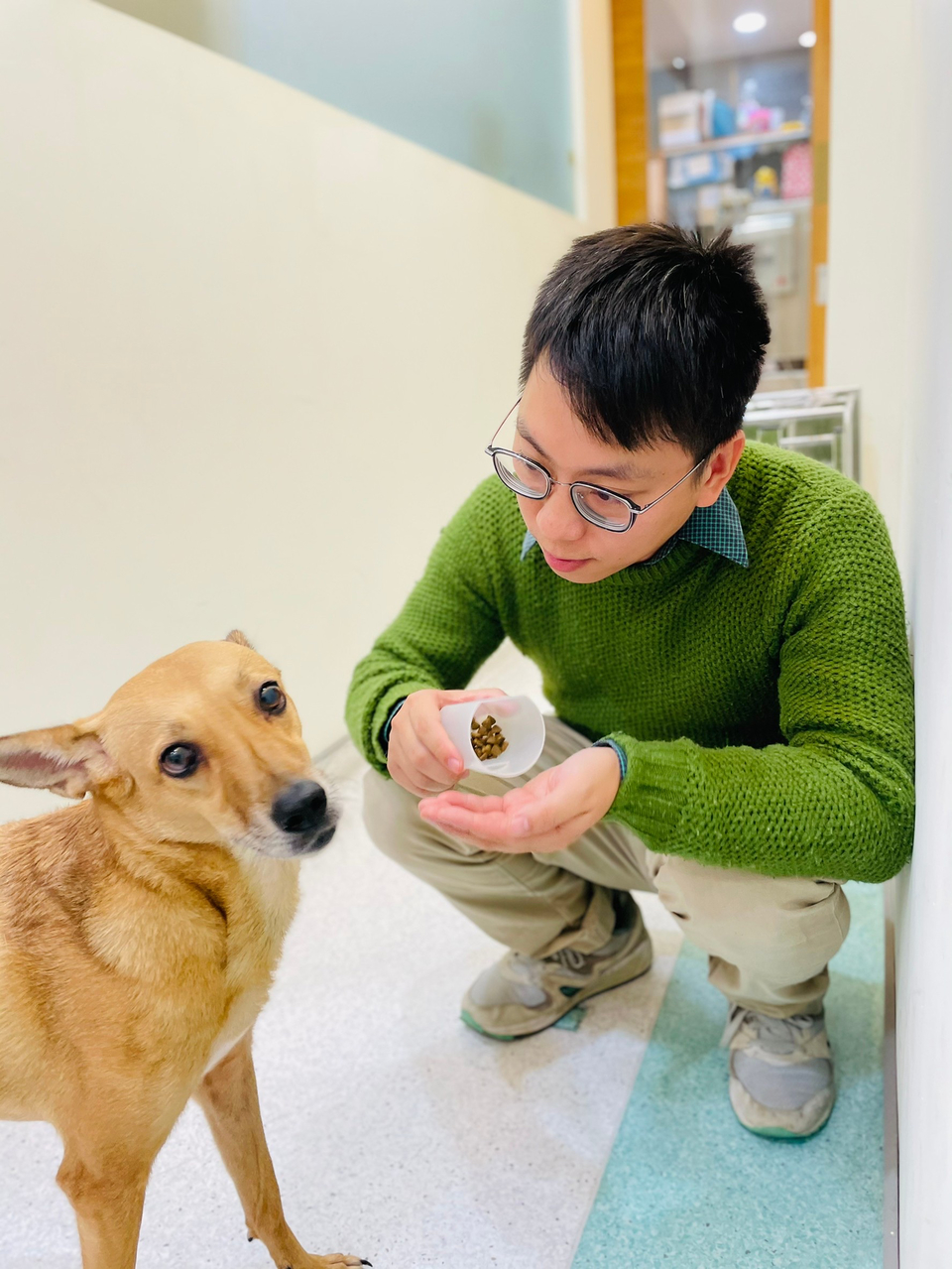 犬貓兔的執業臨床獸醫師 5年經驗 - Description 2