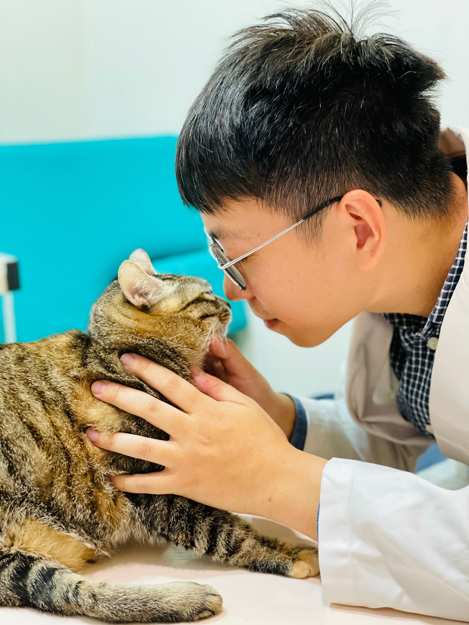 犬貓兔的執業臨床獸醫師 5年經驗 - Description 1