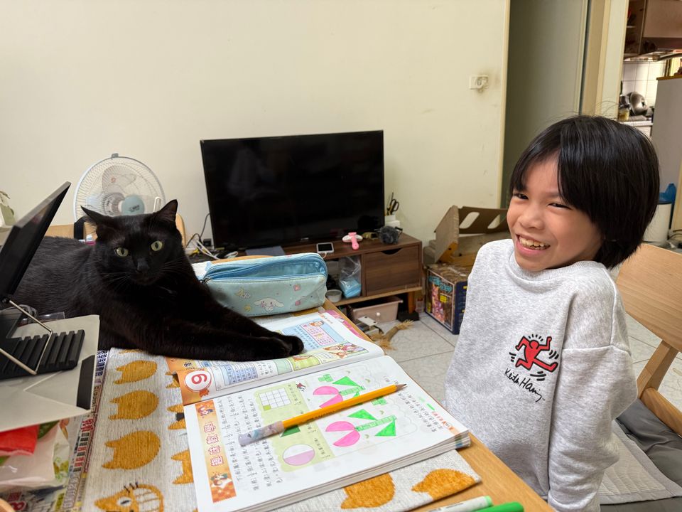 餵食＋換水 清貓砂 互動陪伴 照片＋回報 - 服務說明 7