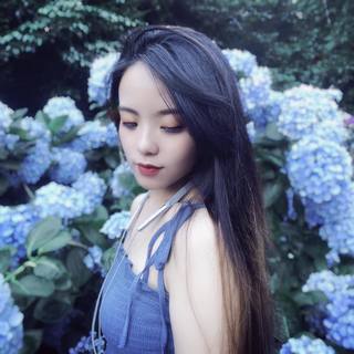 阿妮《目前暫停服務》