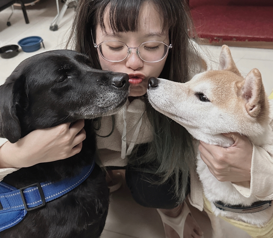 《台中假日安親住宿》中央公園抹茶湖寵物寄宿⭐️預約制。💖 - 服務說明 7