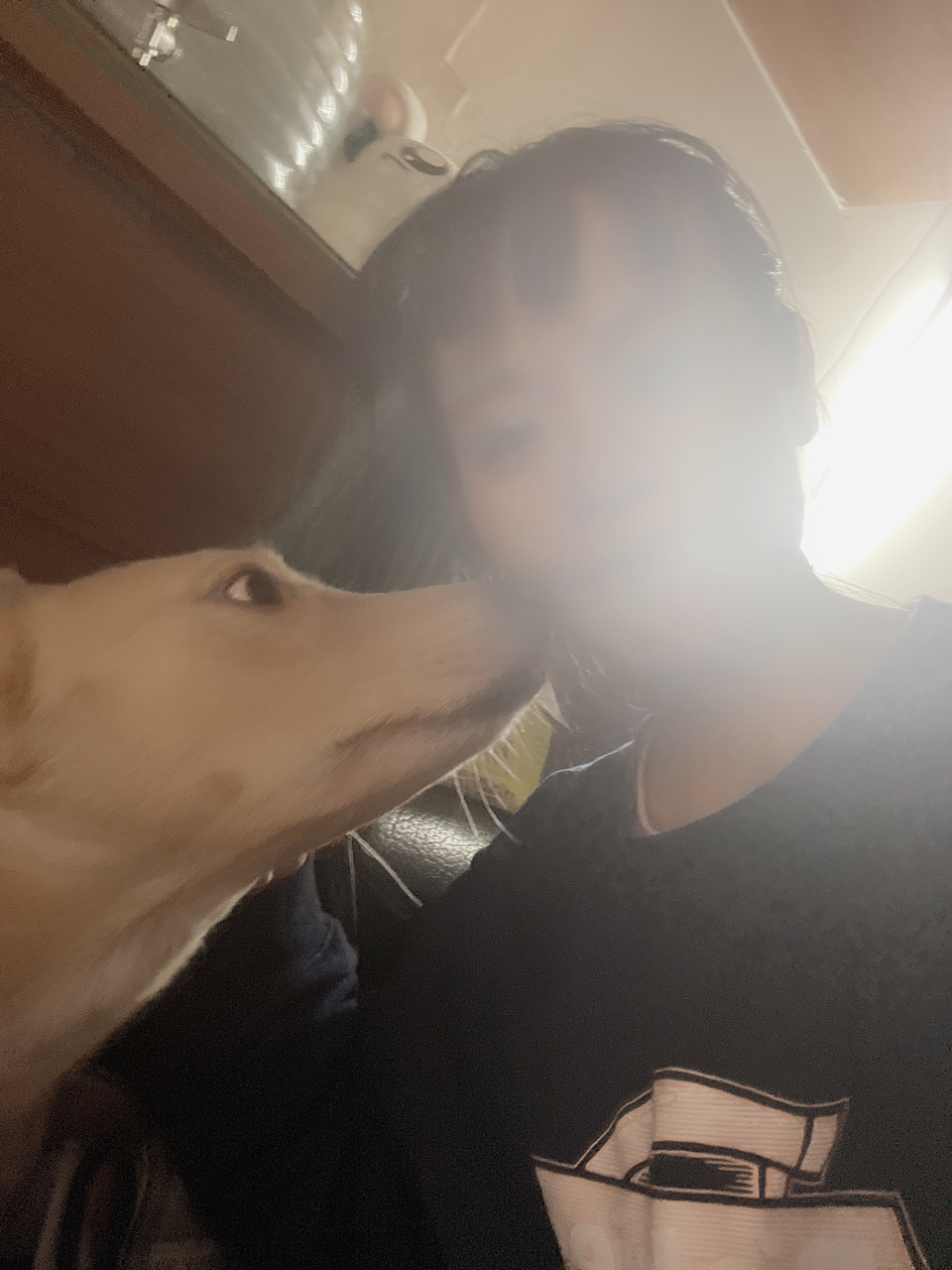 《台中假日安親住宿》中央公園抹茶湖寵物寄宿⭐️預約制。💖 - 服務說明 8