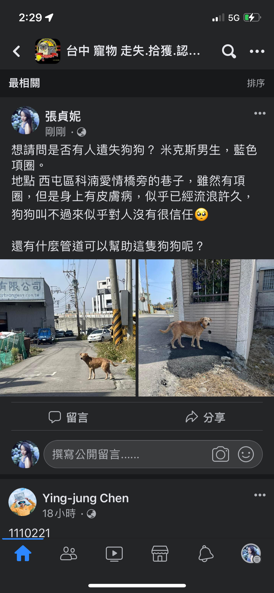 《散步》你的寵物好朋友Jenny～20年飼養.救援動物經驗、老犬、糖尿病犬 - 服務說明 4
