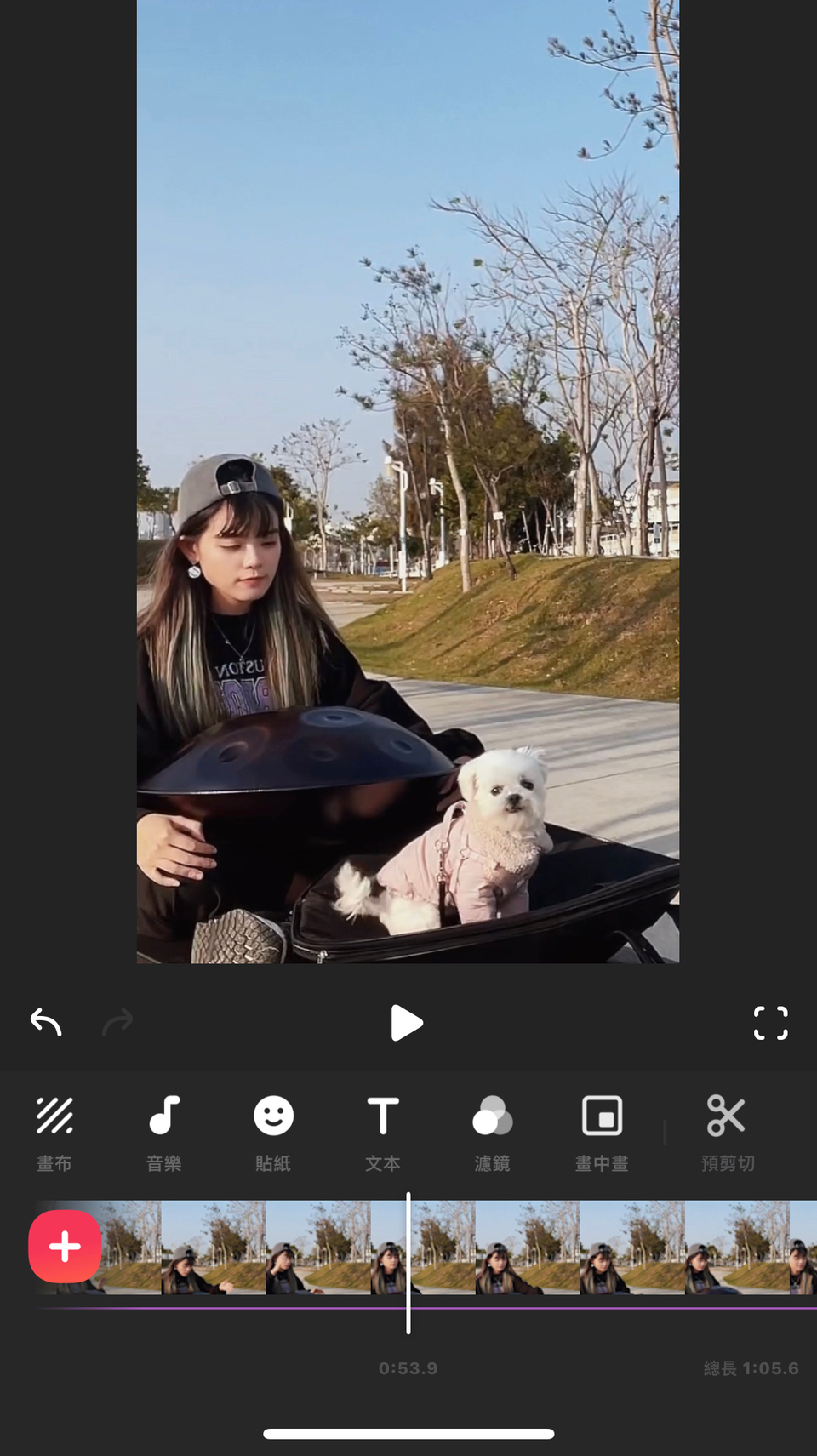 《散步》你的寵物好朋友Jenny～20年飼養.救援動物經驗、老犬、糖尿病犬 - 服務說明 1