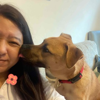 小魚🌺3月到府.散步開放預約中♥️