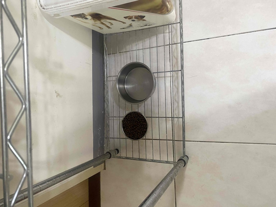 中永和區專屬到府照顧專區🐶🐱 - サービス説明 8