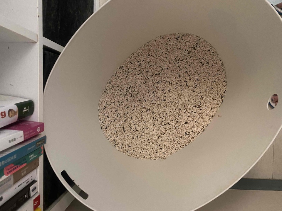 中永和區專屬到府照顧專區🐶🐱 - サービス説明 9