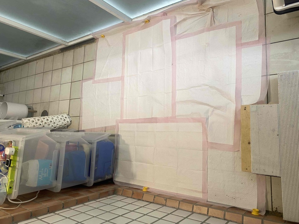 中永和區專屬到府照顧專區🐶🐱 - サービス説明 7