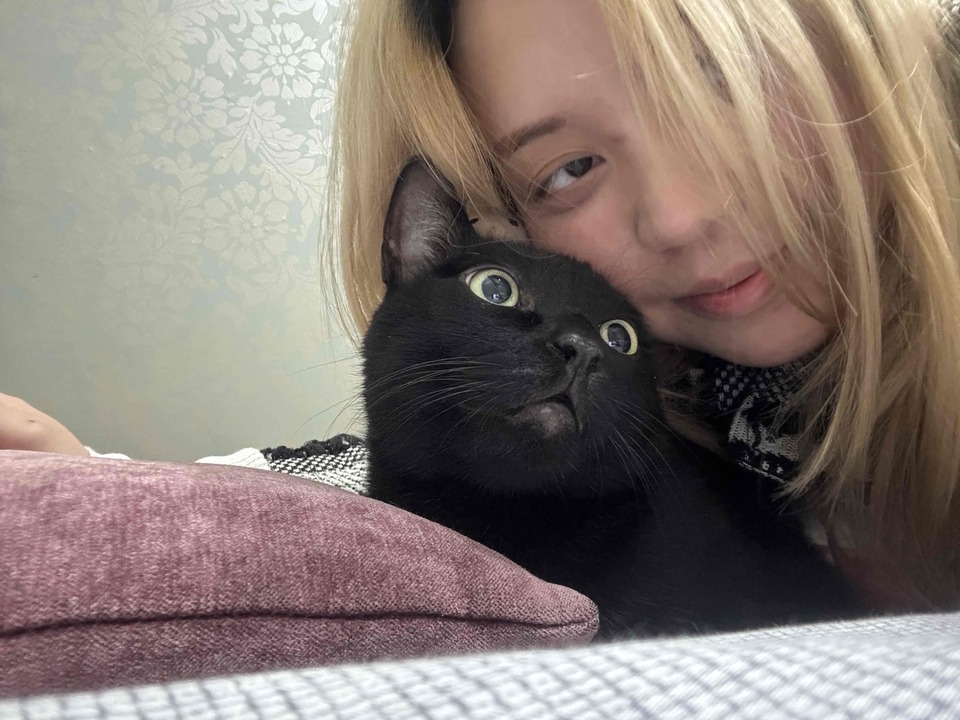 到府照顧喵咪😻🫶🏻 - サービス説明 1