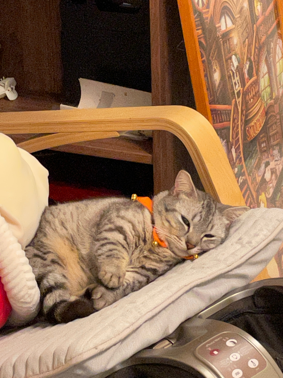 🏠鄰家寵物居家照顧🌸228連假開放預約中🌺 - Description 4