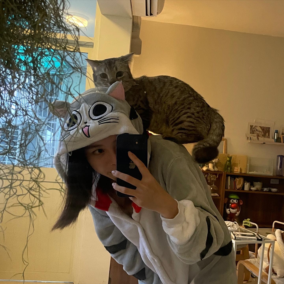 🏠鄰家寵物居家照顧🌸228連假開放預約中🌺 - Description 3