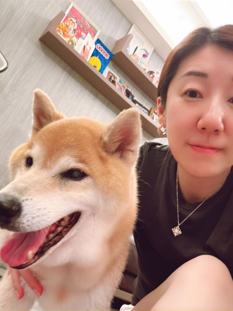 Dog walking/ Day care  - Description 2