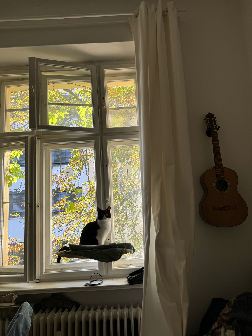 《麟光、六張犁》到府餵食+陪玩+鏟屎官🐈‍⬛🐶 **Pet Sitting Service Available (Reservation during holidays)**   Services: Home visits for feeding + playtime + litter box cleaning 🐈‍⬛🐶 - 服務說明 2