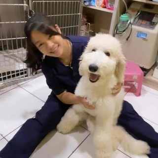 于宸