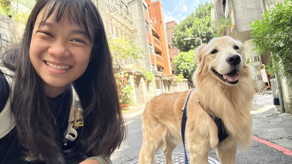 🐾 大型犬專業陪散步｜獸醫系、獸醫助理｜隨行訓練＋社會化  - サービス説明 1