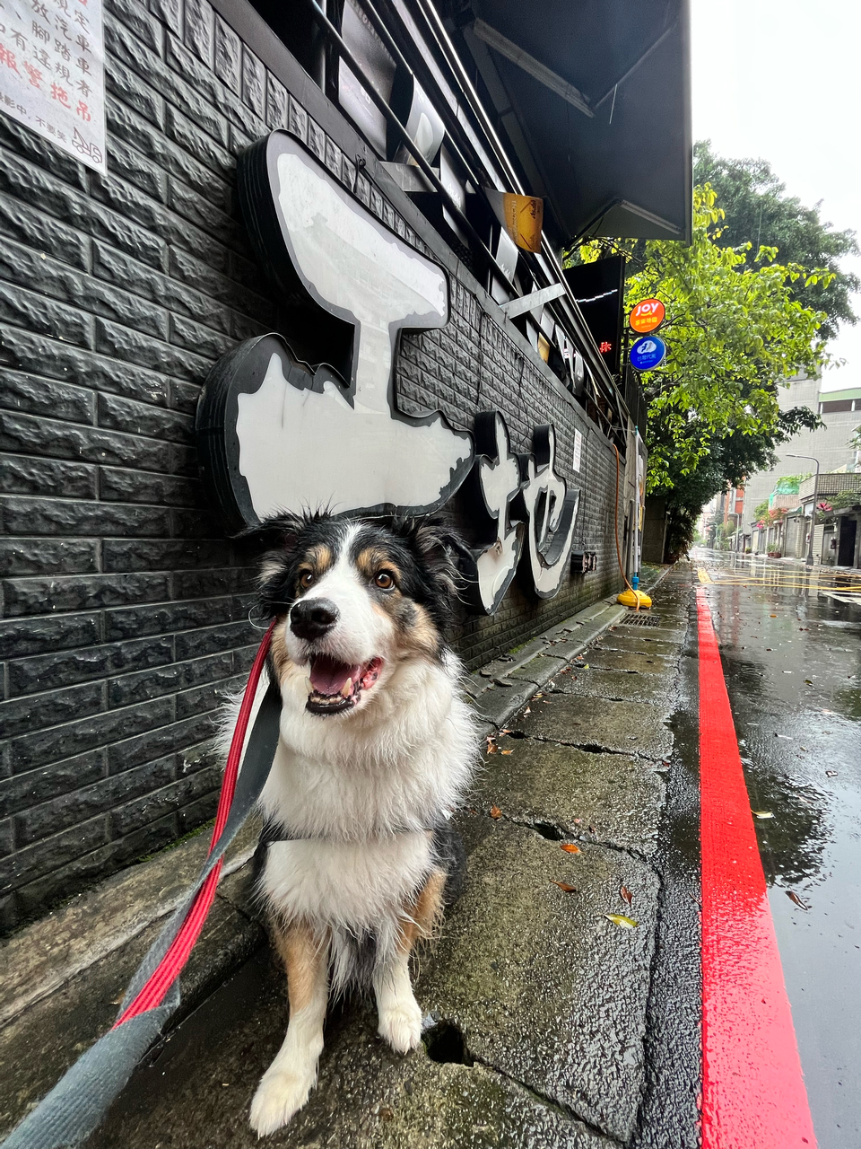 大型犬洗澡區（20～40kg)務必提前預約 - 服務說明 1