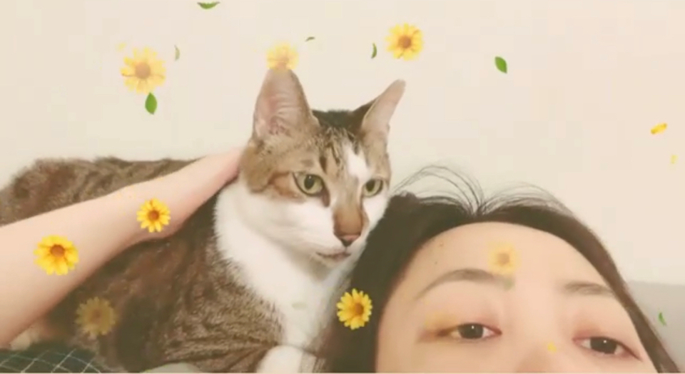 🌟極佳的狗狗緣及10年養貓經驗😺 免費家訪、隨時回報☎️  - Description 8