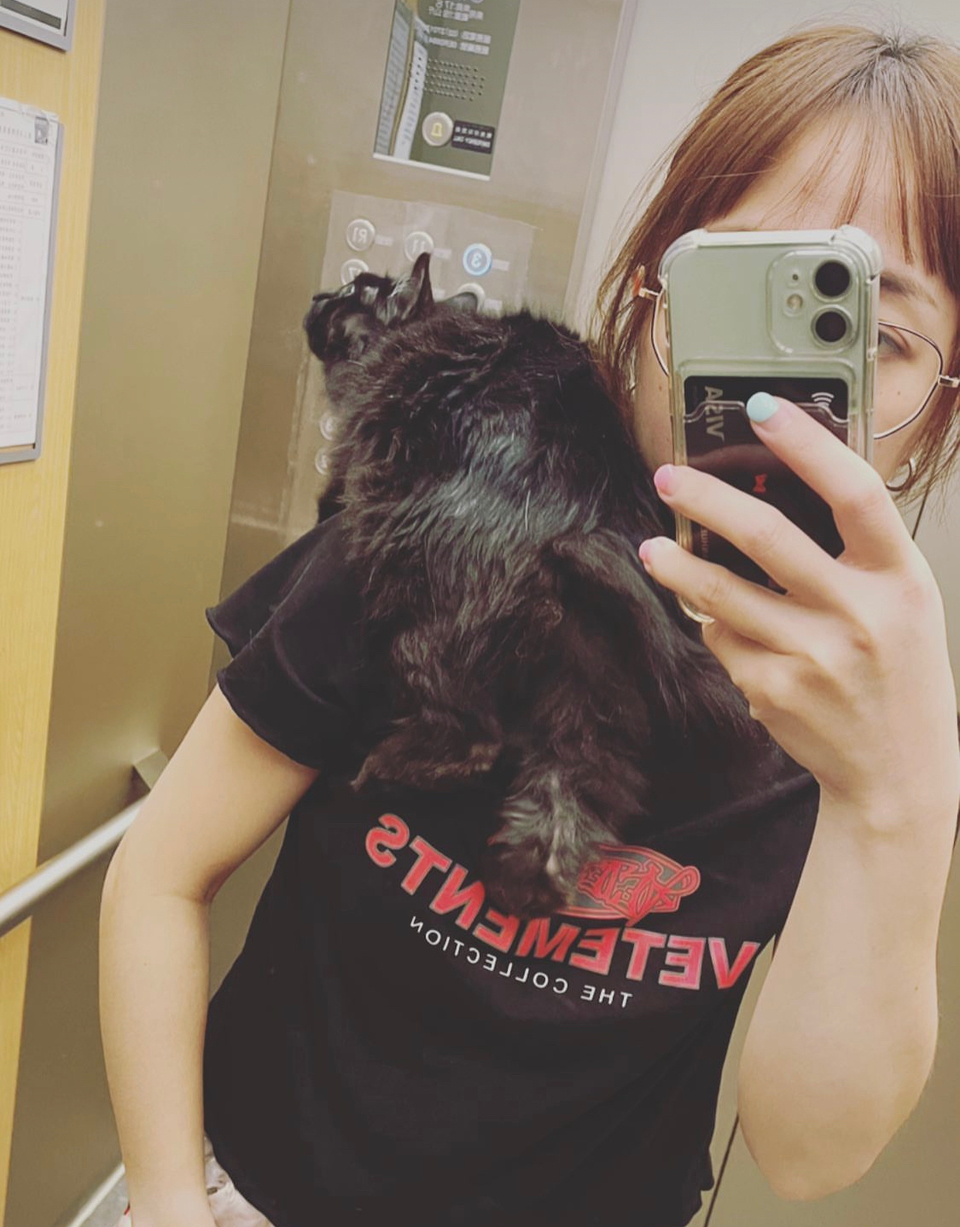 🌟極佳的狗狗緣及10年養貓經驗😺 免費家訪、隨時回報☎️  - Description 9