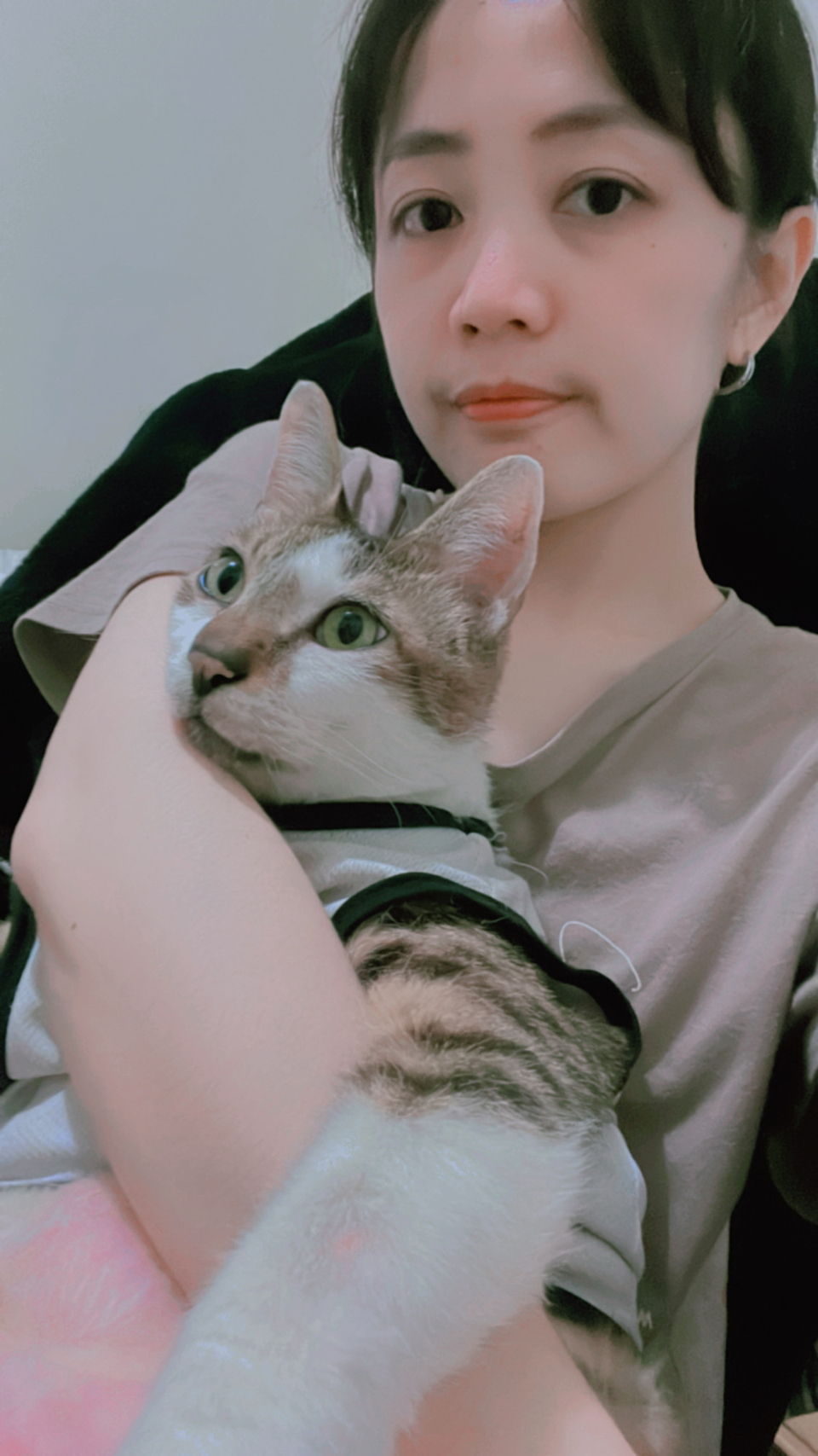 🌟極佳的狗狗緣及10年養貓經驗😺 免費家訪、隨時回報☎️  - Description 1