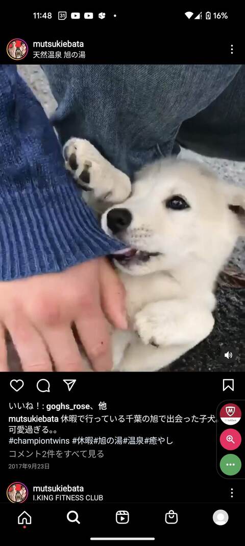 🐾訪問シッター（初めてご利用の方は事前打ち合わせのメニューも追加してシッターサービスをご注文ください）