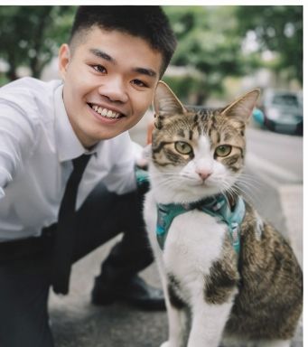專業陪伴毛小孩 - サービス説明 6