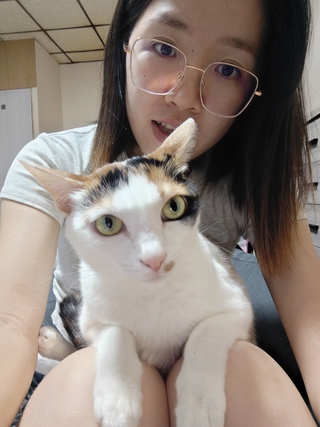 巧姍