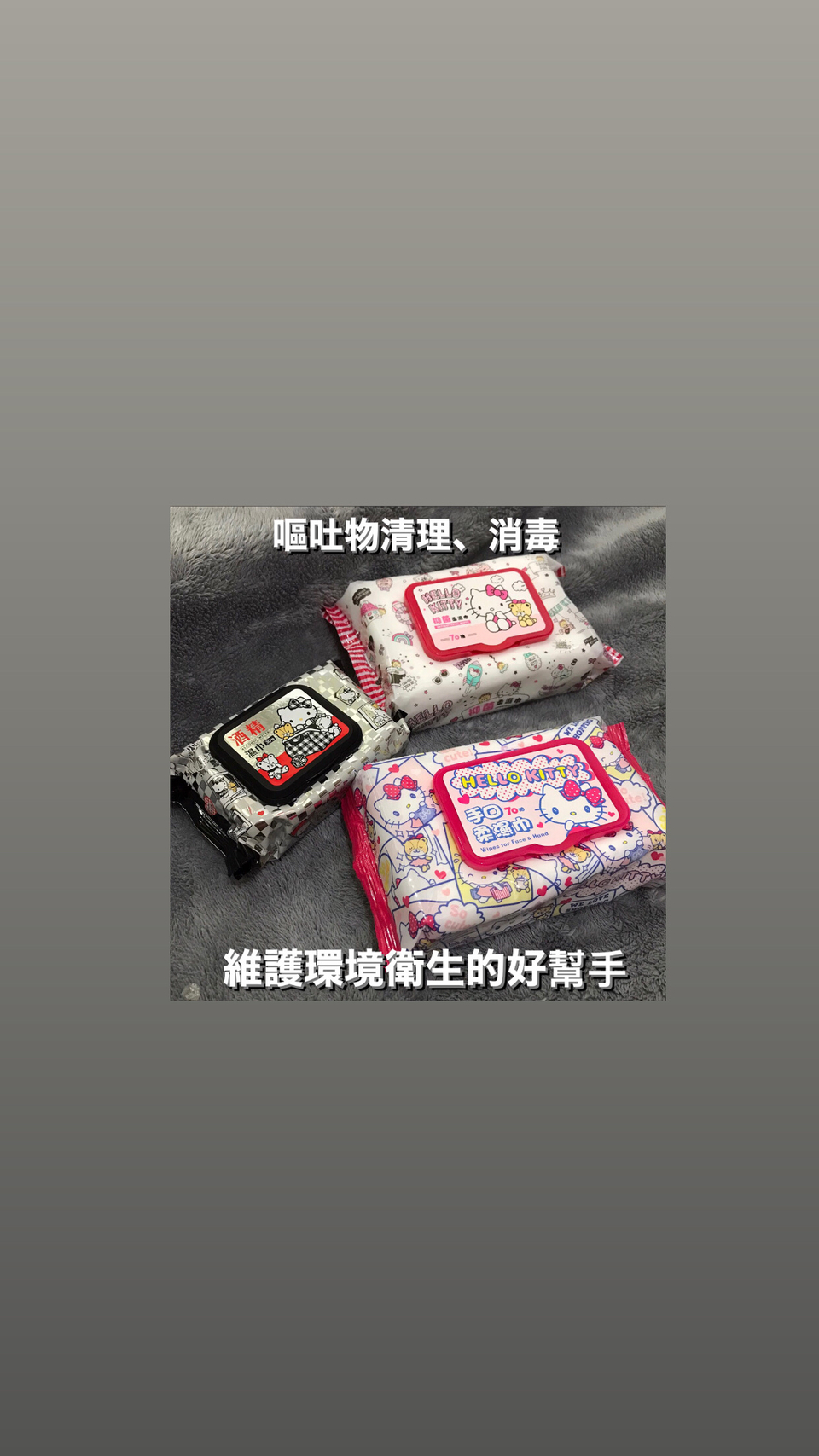 2024毛孩爸媽後援 寵物保母 毛寶貝到府照顧 10月現正接單中 - サービス説明 4