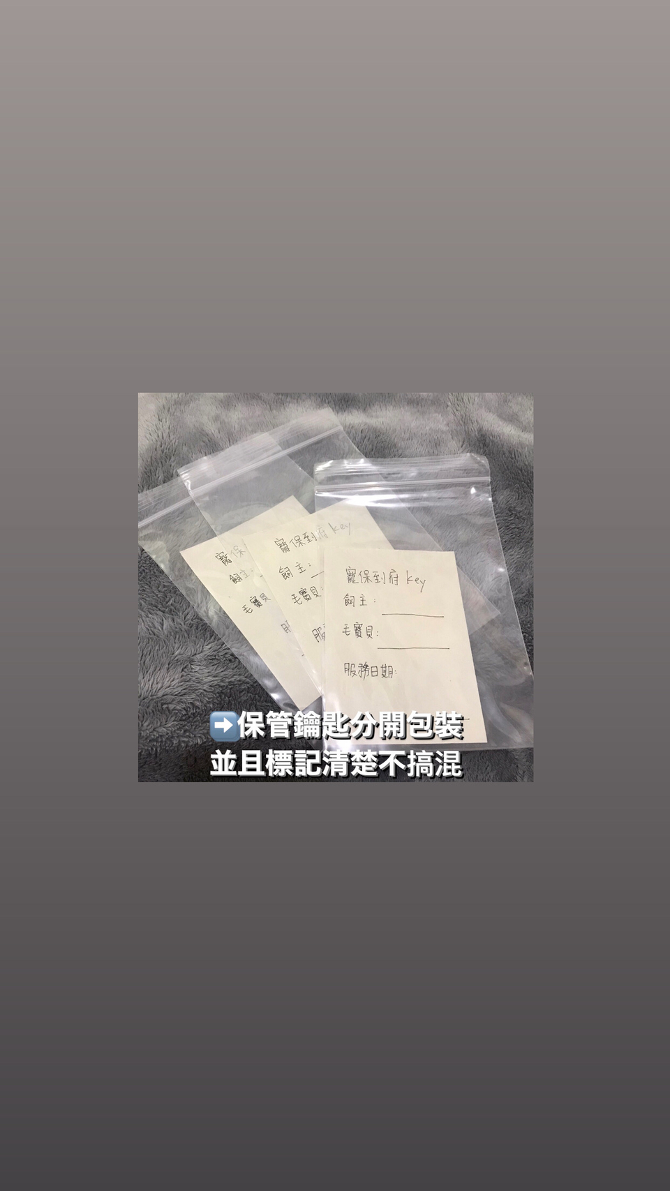 2024毛孩爸媽後援 寵物保母 毛寶貝到府照顧 10月現正接單中 - サービス説明 5