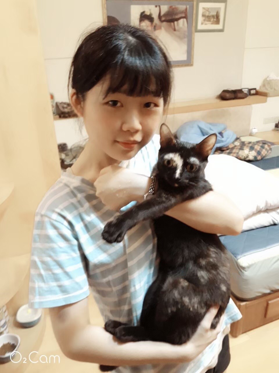 2024毛孩爸媽後援 寵物保母 毛寶貝到府照顧 10月現正接單中 - サービス説明 1