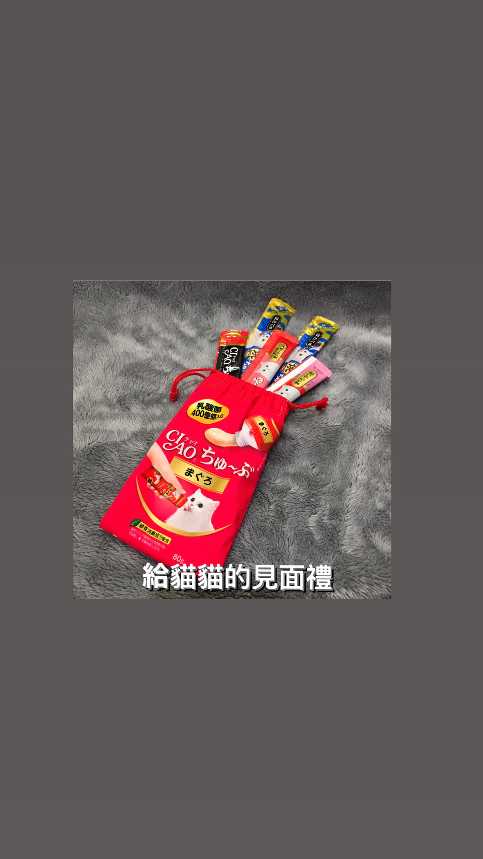 2024毛孩爸媽後援 寵物保母 毛寶貝到府照顧 10月現正接單中 - サービス説明 3