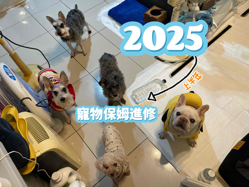 2024 - 2025 寵物保姆進修 - 服務說明 2