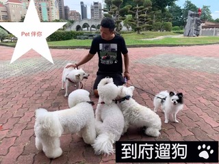 11/1-5休息😽Pet伴你/Pet with you🐕‍🦺10/3&4休息