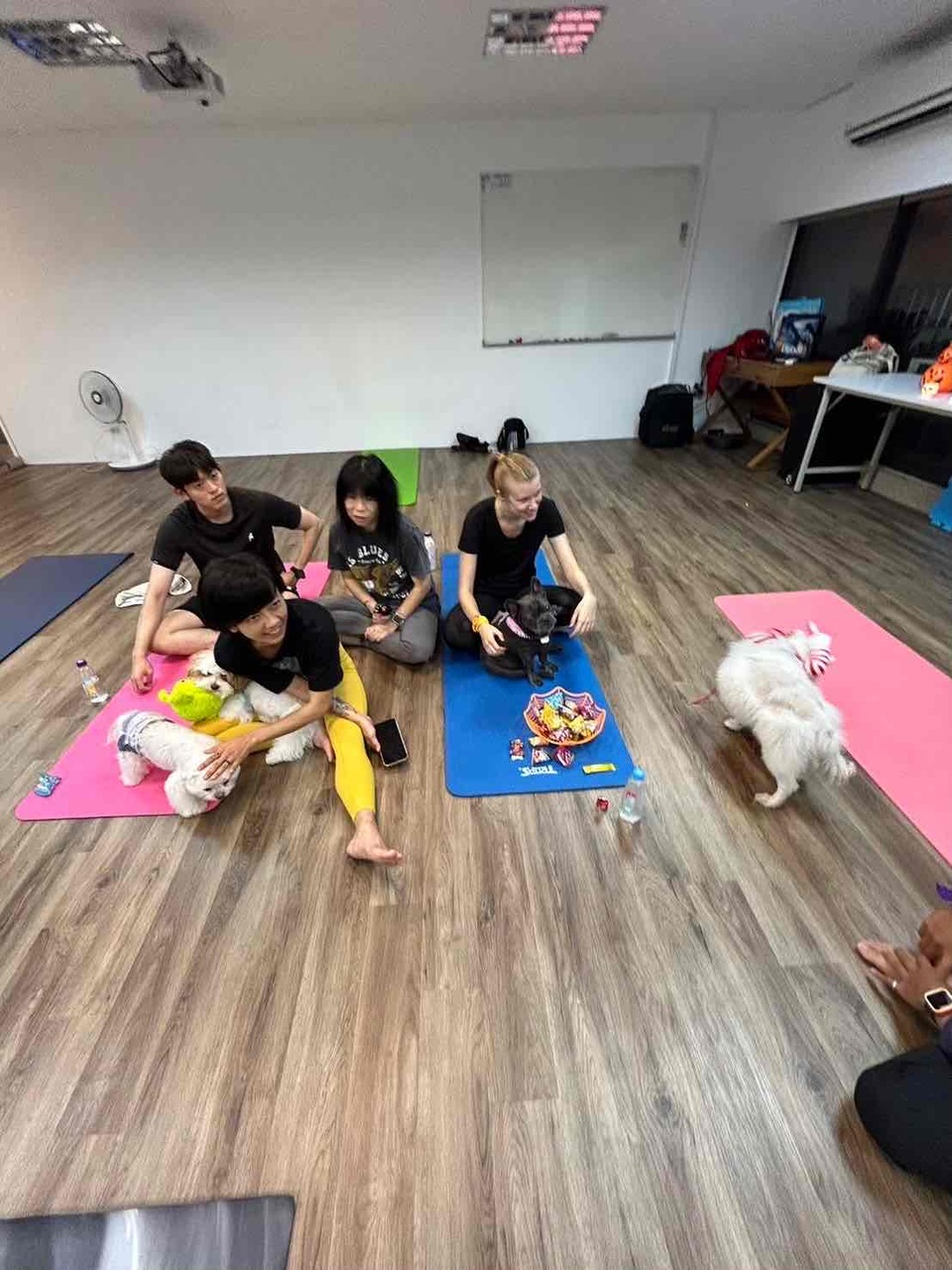 🐕‍🦺 寵物瑜珈 Doga｜歡迎預約包場 🧘‍♀️🐶 - Description 5