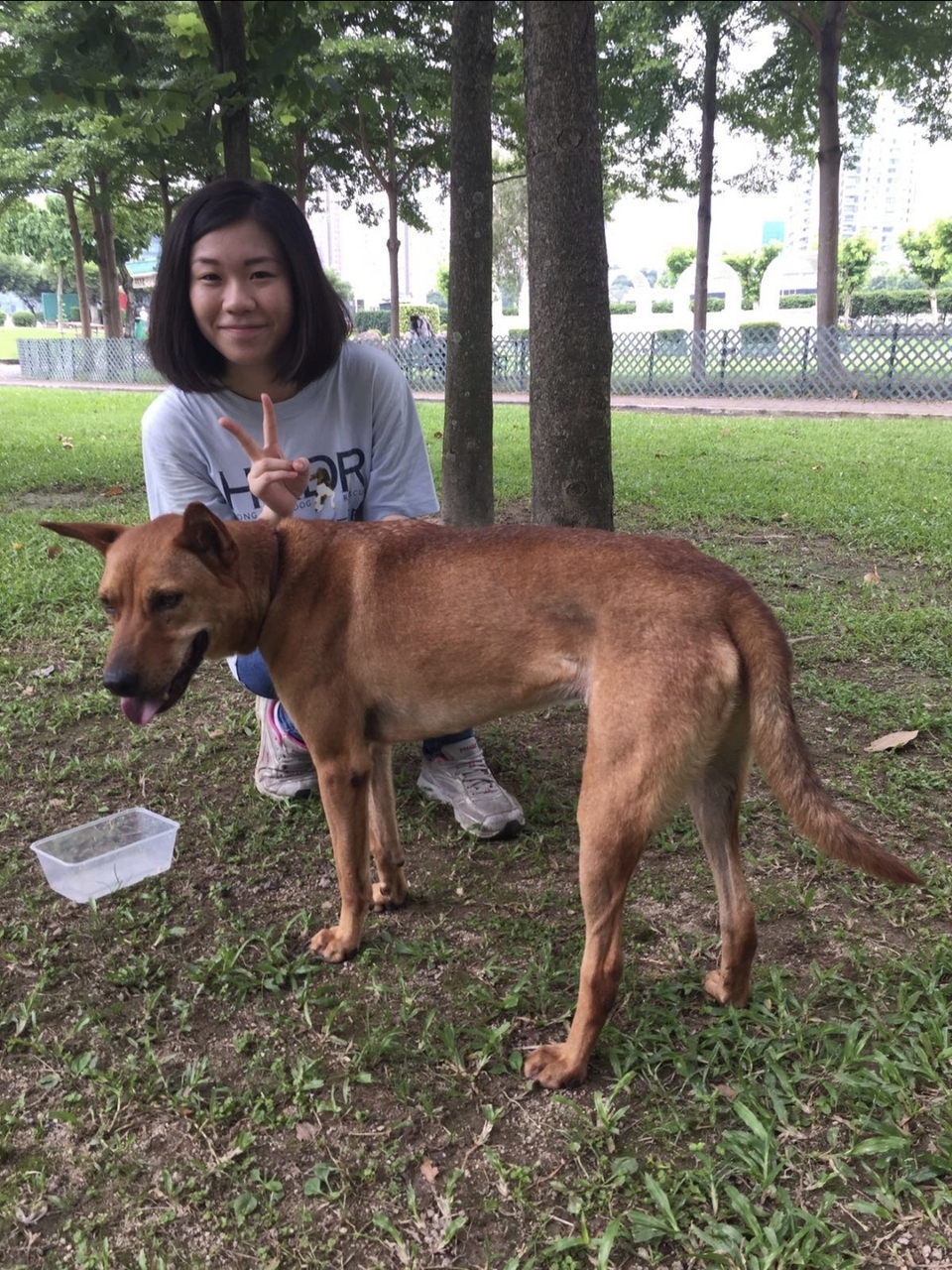 遛狗 walk狗 服務 - サービス説明 7