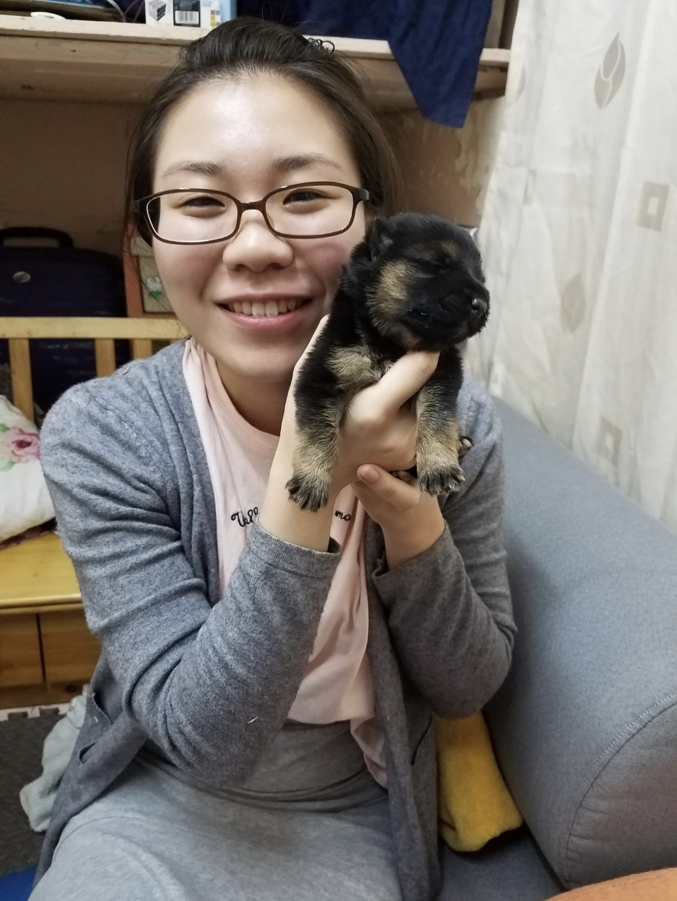 遛狗 walk狗 服務 - サービス説明 6