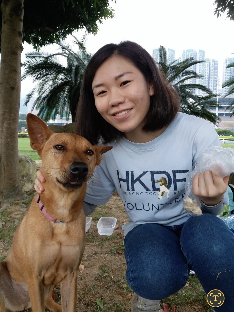 遛狗 walk狗 服務 - サービス説明 1