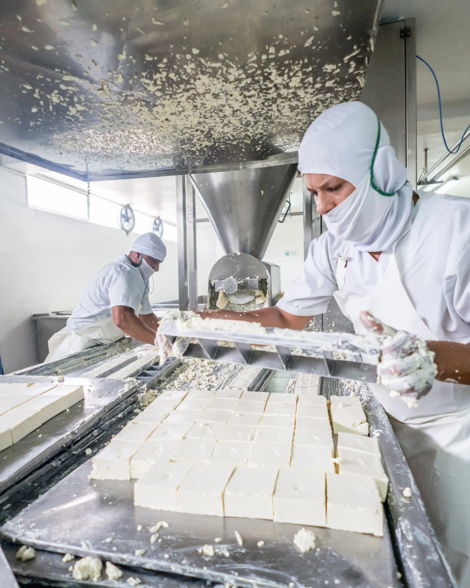 Lactalis India Partnership with FluxGen