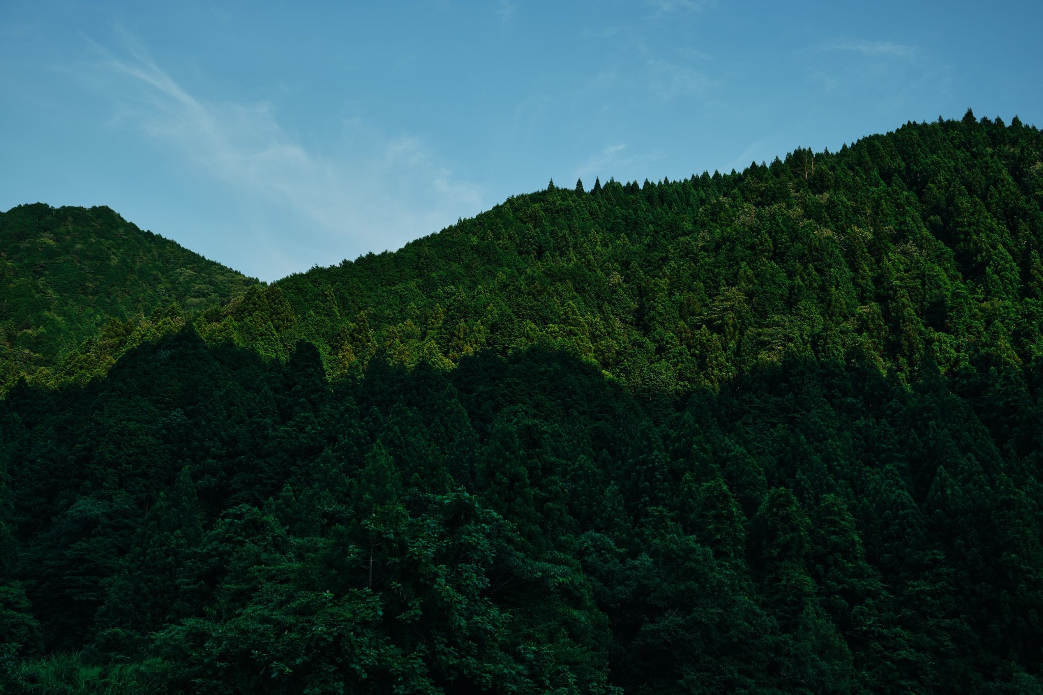天然水の水風呂