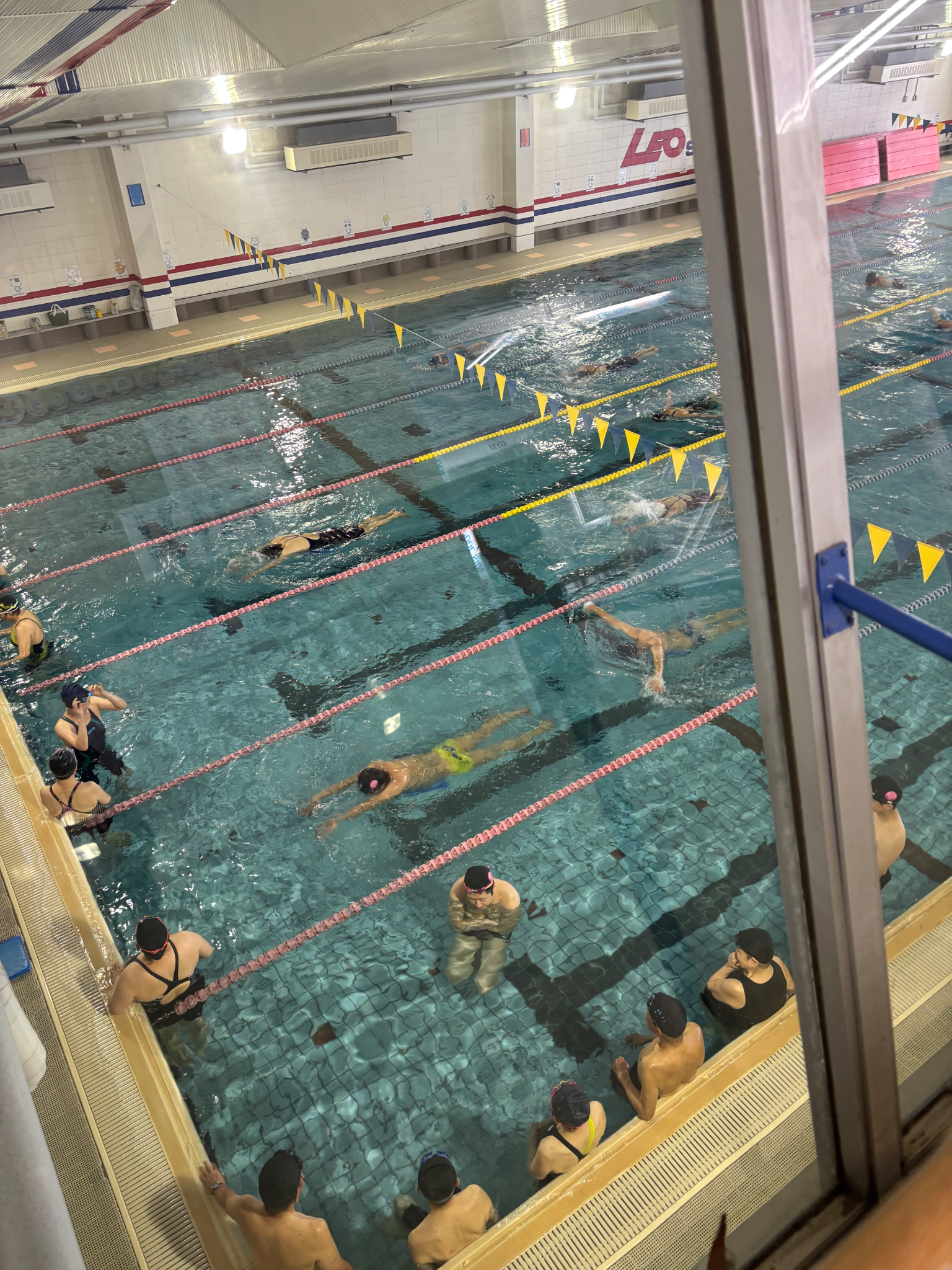 Swim